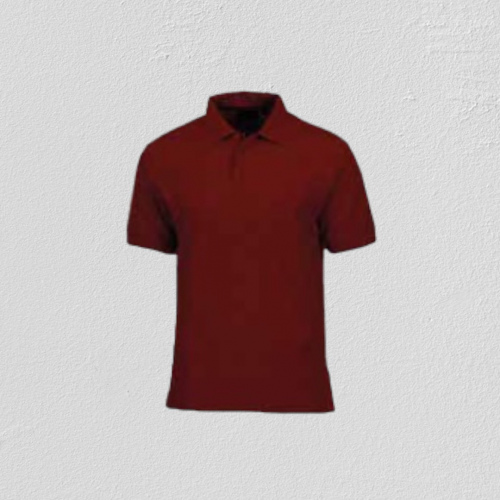 Polo Yaka T-Shirt (Bordo)